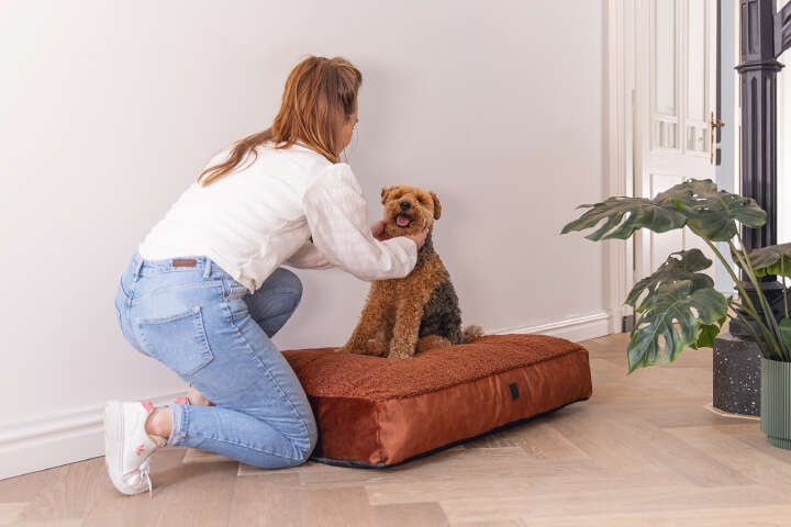 Designed by Lotte Hundekissen Yndis